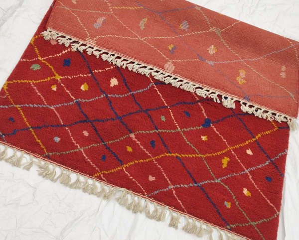 WhatsApp Image 2026-02-28 at 5.53.38 PM Red Area Rug