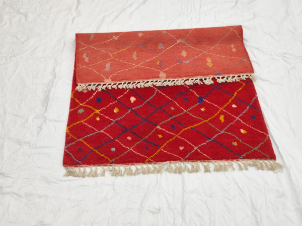 WhatsApp Image 2026-02-28 at 5.53.45 PM Red Area Rug