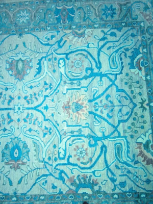 WhatsApp Image 2026-03-06 at 8.21.01 PM (1) Floral Area Rug